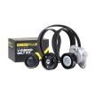 RIDEX PLUS V-Oluklu Kayış Seti — Mercedes-Benz Sl (1)