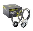 RIDEX PLUS V-Oluklu Kayış Seti — 2000 SEAT Leon (1)