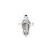 BOSCH Buji Anahtar Boyutu: 16 mm, Çift iridyum — 2008 Audi Q7 (4)