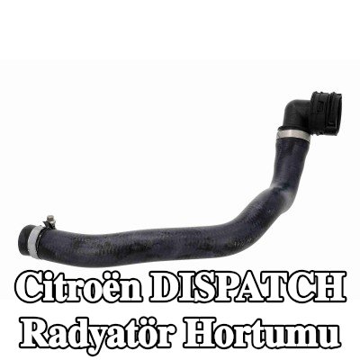 VAICO Radyatör hortumu — Citroën Dispatch