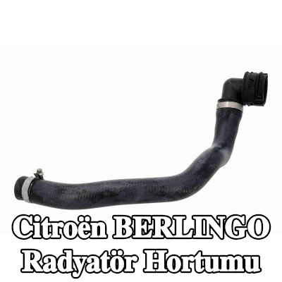 VAICO Radyatör hortumu — Citroën Berlingo