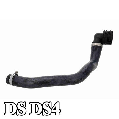 VAICO خرطوم المبرد — DS Ds4