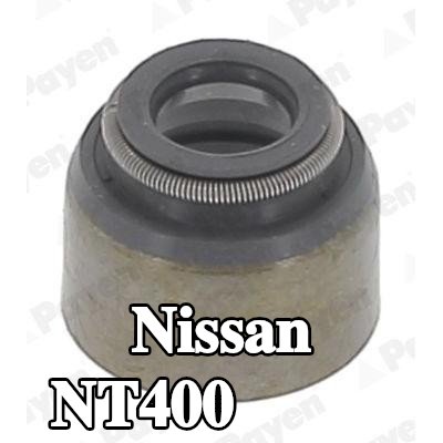 PAYEN حشية صمام — Nissan Nt400