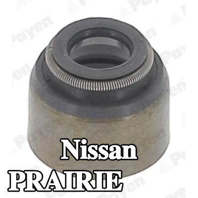PAYEN حشية صمام — Nissan Prairie