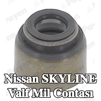 PAYEN Valf mil contası — 2002 Nissan Skyline