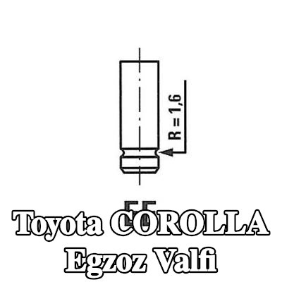 FRECCIA Egzoz valfi Nitrürlenmiş valf gövdesi — 1991 Toyota Corolla