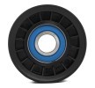 RIDEX Saptırma / kılavuz kasnağı, V-ribbed belt Ø: 72mm — 2012 Ford Ecosport (3)