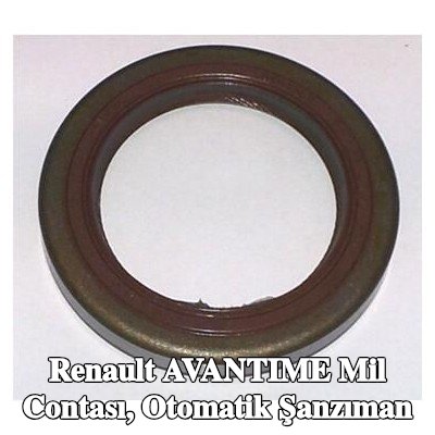 CORTECO Mil contası, otomatik şanzıman — Renault Avantime