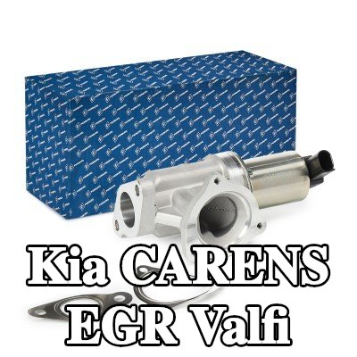 PIERBURG Contalı/sızdırmazlık elemanlı EGR valfi — 2002 Kia Carens