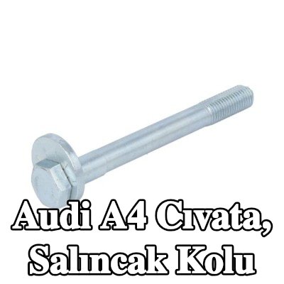 REINHOCH Cıvata, salıncak kolu — 2002 Audi A4