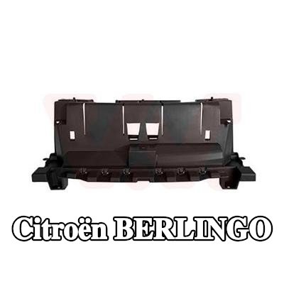 VAN WEZEL حامل، شبكة المبرد — Citroën Berlingo