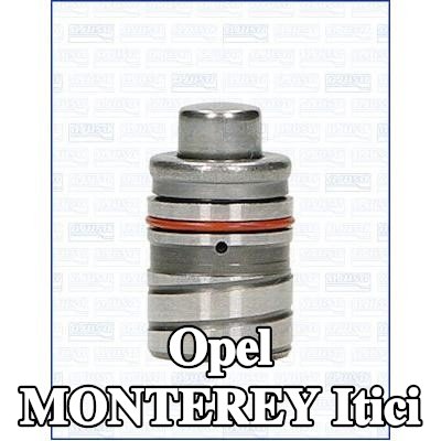 AJUSA Itici — Opel Monterey