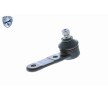 VAICO Rulman Eklemi EXPERT KITS +, Ön Aks — Ford Escort (4)