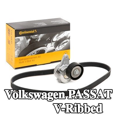 CONTITECH مجموعة أحزمة V-Ribbed — 2016 Volkswagen Passat