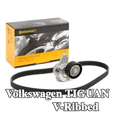 CONTITECH مجموعة أحزمة V-Ribbed — 2022 Volkswagen Tiguan