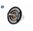 ACKOJA Termostat 82°C, contalı/sızdırmaz — Nissan 300zx (6)