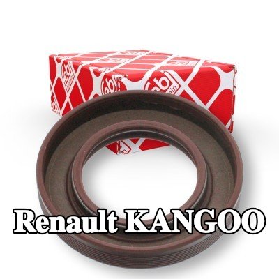 FEBI BILSTEIN حشية عمود الكامات الجانب الأمامي — Renault Kangoo