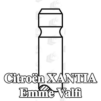 AE Emme valfi Sertleştirilmiş valf sapı ucu — 1993 Citroën Xantia