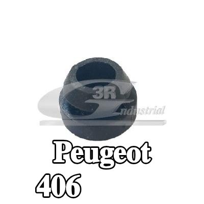 3RG حامل المبرد — Peugeot 406