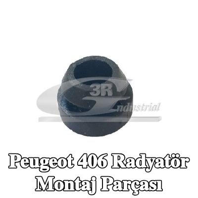 3RG Radyatör montaj parçası — Peugeot 406