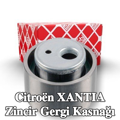 FEBI BILSTEIN Zincir gergi kasnağı — Citroën Xantia
