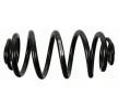 SACHS Helezon yay — Chevrolet Orlando (4)