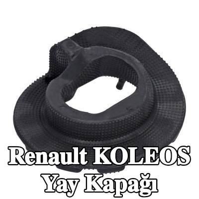 FEBI BILSTEIN Alt Yay Kapağı, Arka Aks Sol, Arka Aks Sağ — Renault Koleos