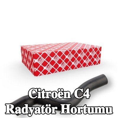 FEBI BILSTEIN Radyatör hortumu Üst — 2012 Citroën C4