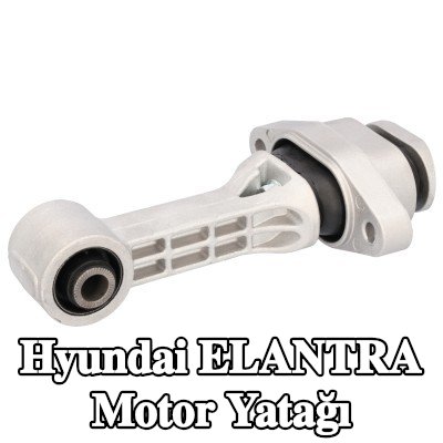 FEBI BILSTEIN Motor yatağı Ön, Alt — 2012 Hyundai Elantra