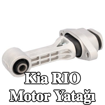 FEBI BILSTEIN Motor yatağı Ön, Alt — 2012 Kia Rio