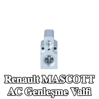 NRF Conta/sızdırmazlık elemanlı AC genleşme valfi — Renault Mascott