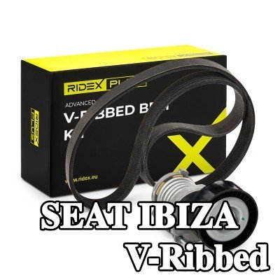RIDEX PLUS مجموعة أحزمة V-Ribbed — 2000 SEAT Ibiza