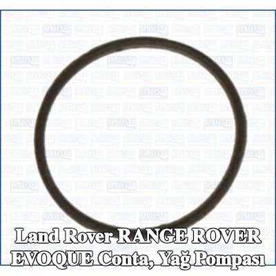 AJUSA Conta, yağ pompası — Land Rover Range Rover Evoque