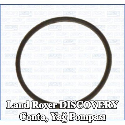 AJUSA Conta, yağ pompası — Land Rover Discovery