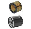 RIDEX PLUS Filtre kiti — Citroën C15 (1)