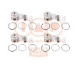 IAP QUALITY PARTS Piston segmanlı piston — Volkswagen Touran (1)