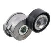 FEBI BILSTEIN Tahrik kayışı gergisi — 2011 Ford C-max (1)
