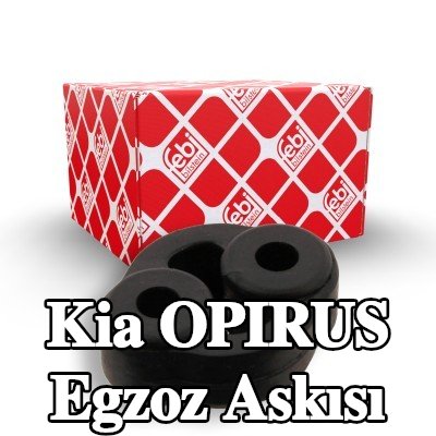 FEBI BILSTEIN Egzoz askısı Ön Susturucu — Kia Opirus