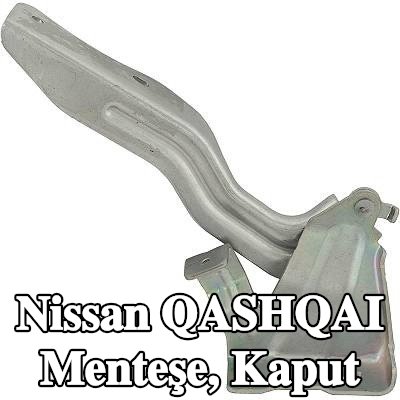 DIEDERICHS Menteşe, kaput — Nissan Qashqai