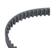 RIDEX Su pompası ve triger kayışı kiti Diş Sayısı: 101, Width: 20mm, su pompalı — 2000 Hyundai Atos (4)