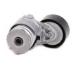 SKF Gergi kasnağı Ø: 65mm — Renault Dokker (6)