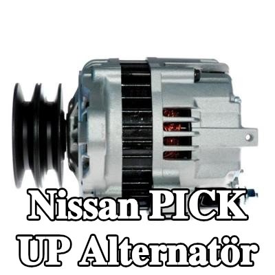 HELLA Alternatör 60A — 2002 Nissan Pick Up