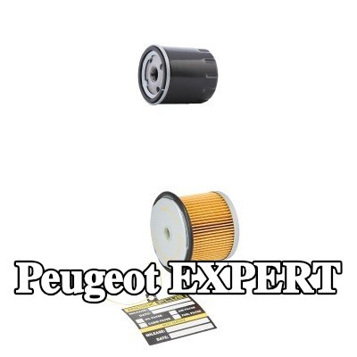 RIDEX PLUS مجموعة الفلاتر — 1997 Peugeot Expert
