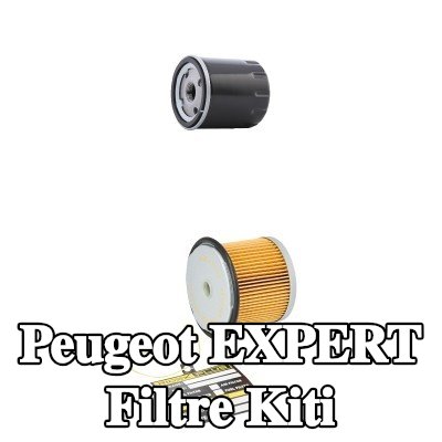 RIDEX PLUS Filtre kiti — 1997 Peugeot Expert