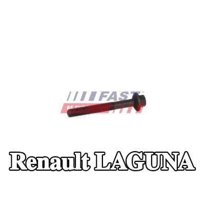 FAST برغي مشبك الحاقن — Renault Laguna