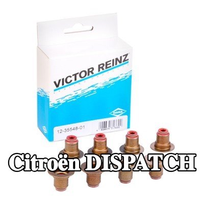 REINZ مجموعة سدادات صمامات الصمامات — Citroën Dispatch