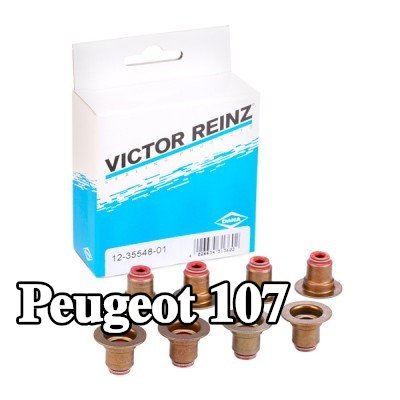 REINZ مجموعة سدادات صمامات الصمامات — Peugeot 107