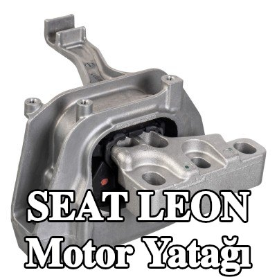 FEBI BILSTEIN Motor yatağı Sağ — SEAT Leon