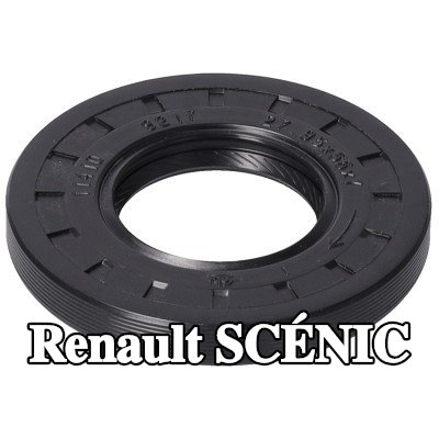 FEBI BILSTEIN حشية العمود, حافة ناقل الحركة اليدوي - كلا الجانبين — Renault Scénic