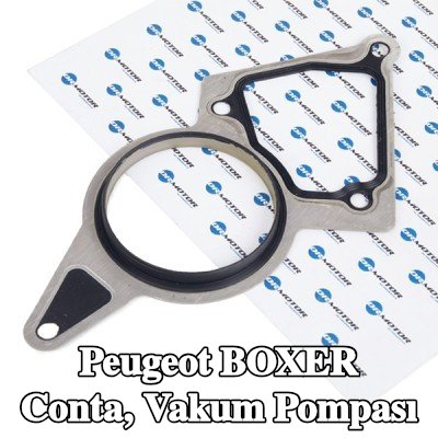 DR.MOTOR AUTOMOTIVE Conta, vakum pompası — Peugeot Boxer